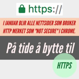 HTTPS, SSL. Infografikk.